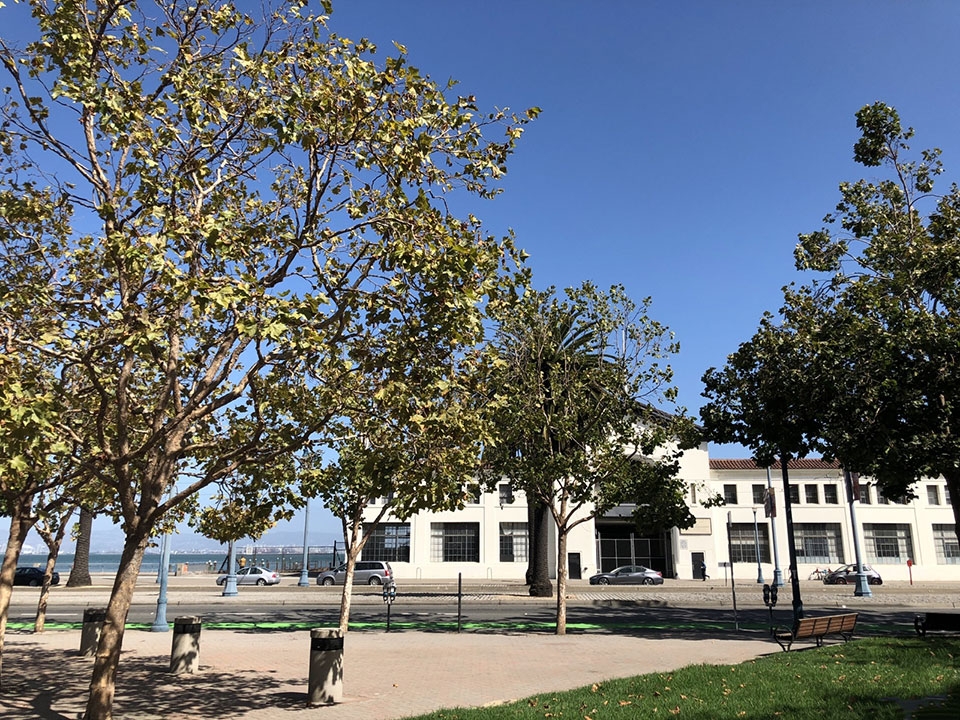 Trải nghiệm camera iPhone 8 & iPhone 8 Plus