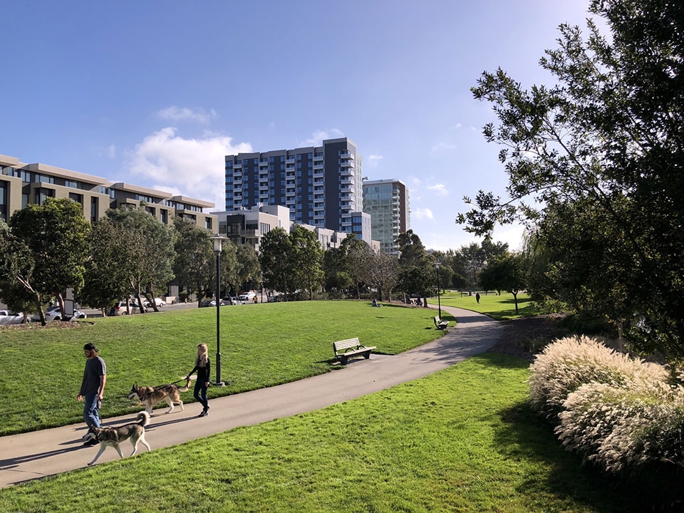 Trải nghiệm camera iPhone 8 & iPhone 8 Plus