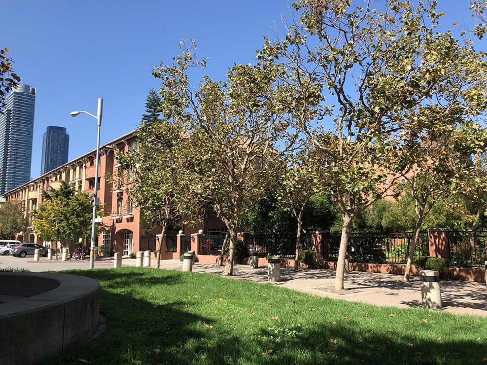 Trải nghiệm camera iPhone 8 & iPhone 8 Plus