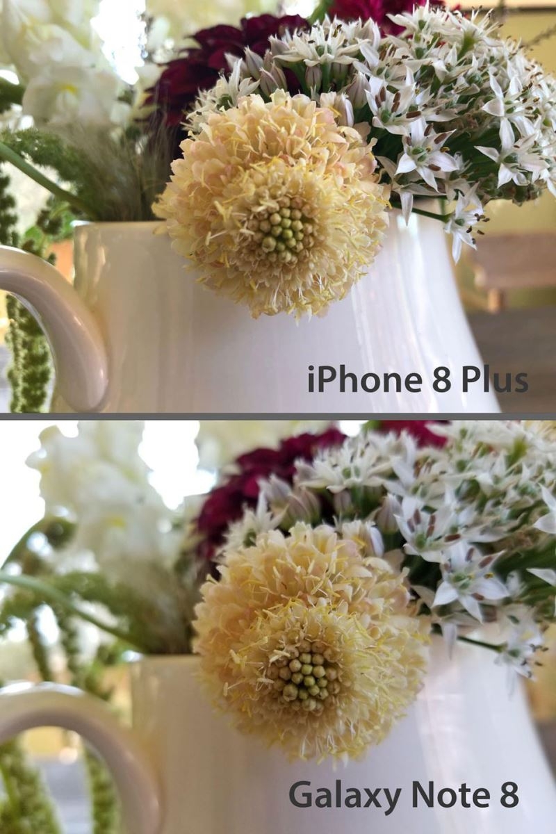 So sánh camera iPhone 8 Plus và Galaxy Note 8