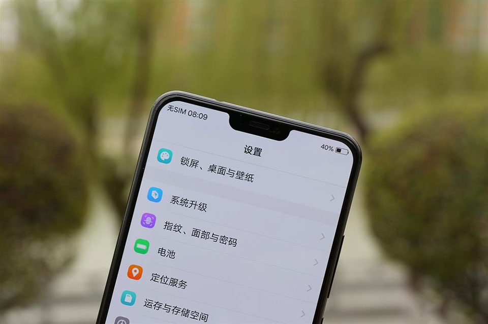 Vivo X21 UD