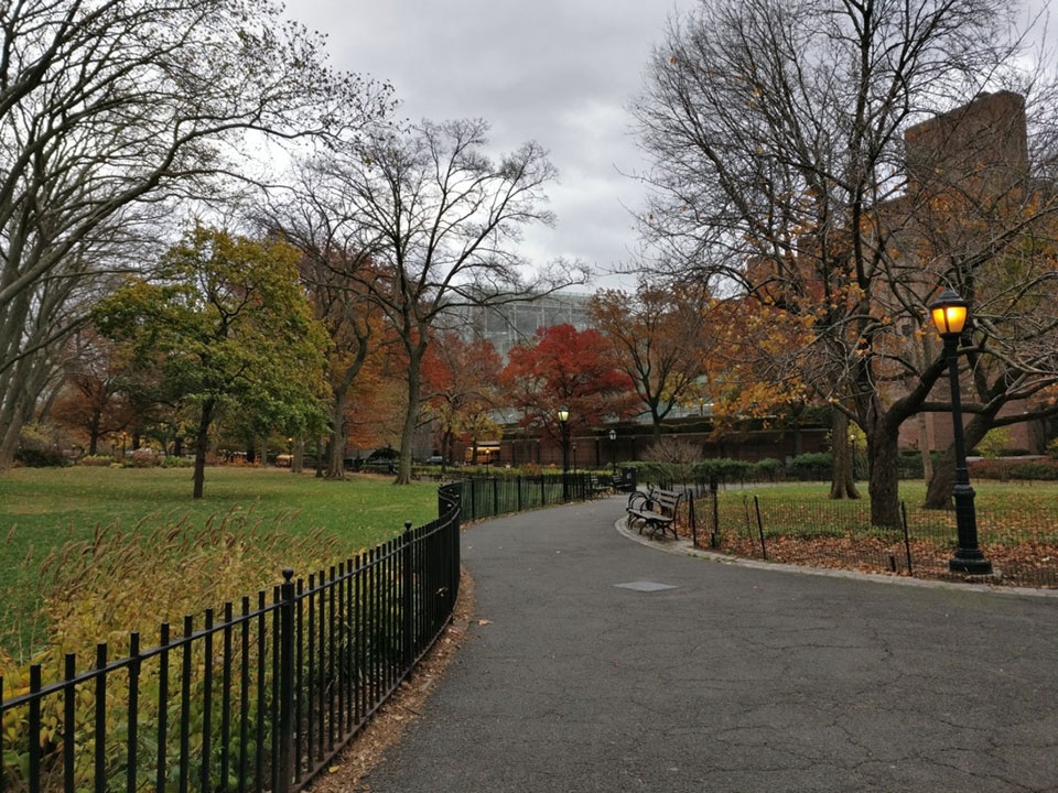 Ảnh chụp từ OnePlus 3T Ảnh chụp từ OnePlus 3T