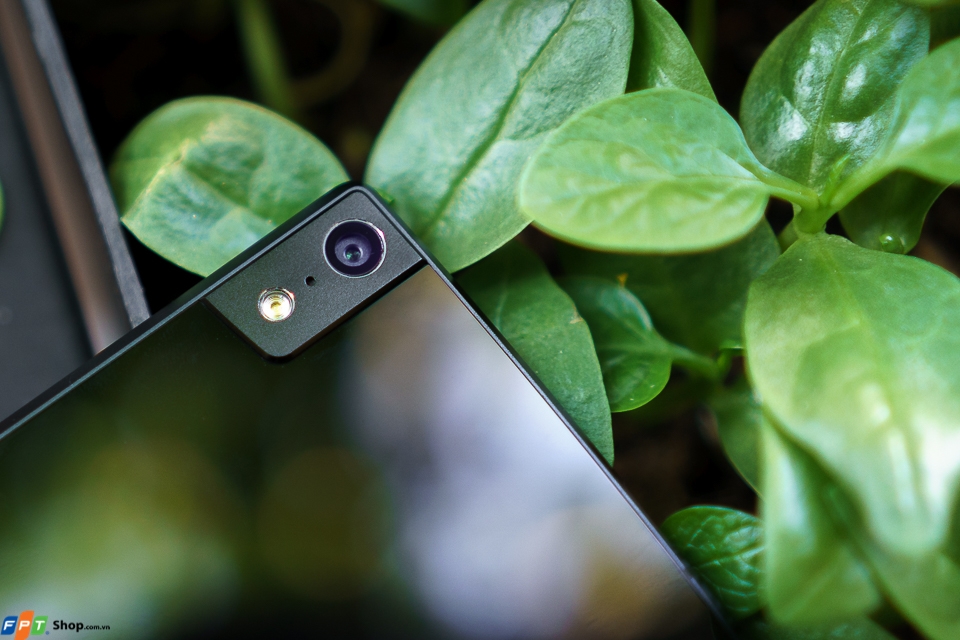 trên tay Gionee Elife S5.5