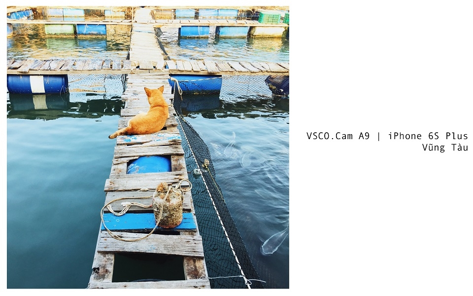 Hướng dẫn chỉnh sửa ảnh cực đẹp với filter A9 từ VSCOCam Hướng dẫn chỉnh sửa ảnh cực đẹp với filter A9 từ VSCOCam