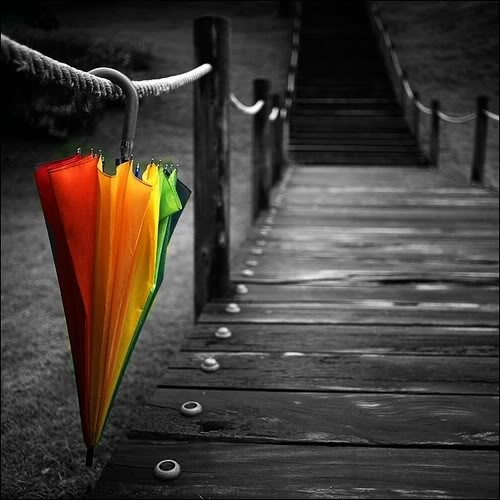 Tổng hợp những phần mềm chỉnh sửa ảnh