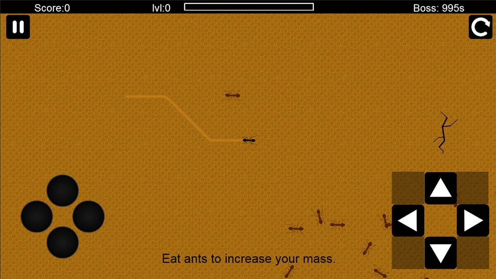 Ant Evolution
