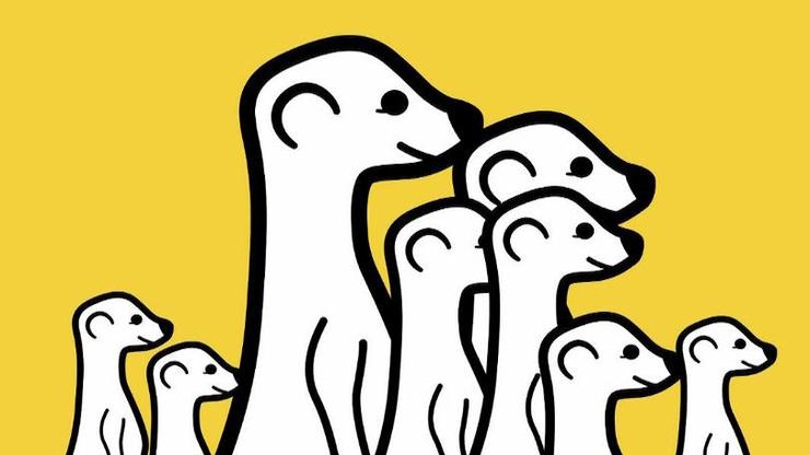 Meerkat (2015 - 2016)