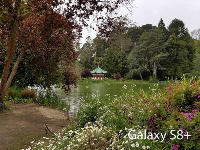 So sánh camera của Galaxy S8+ vs iPhone 7 Plus 3