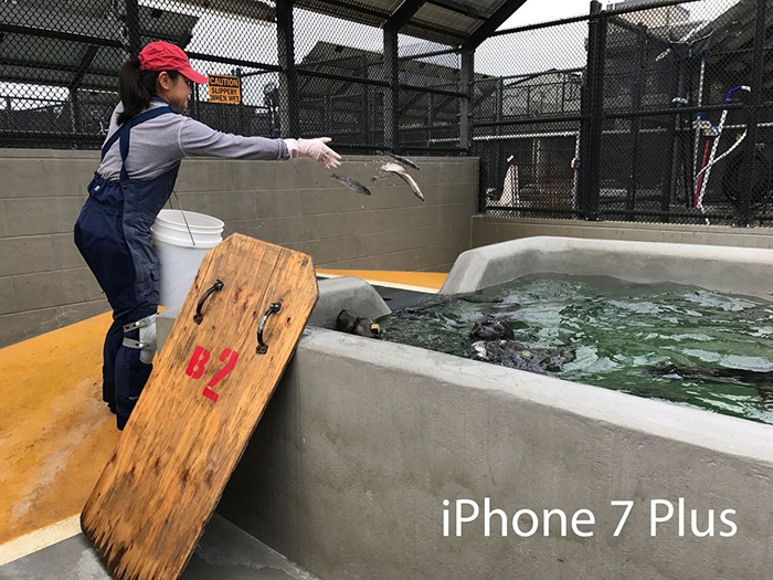 So sánh camera của Galaxy S8+ vs iPhone 7 Plus 12