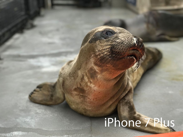 So sánh camera của Galaxy S8+ vs iPhone 7 Plus 14