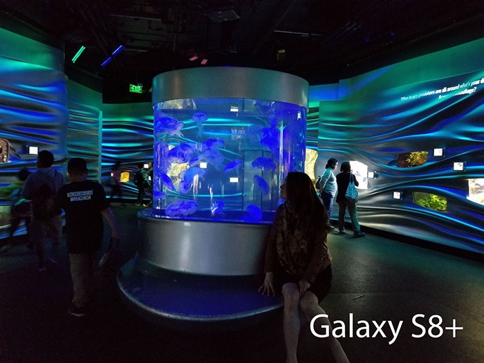 So sánh camera của Galaxy S8+ vs iPhone 7 Plus 17