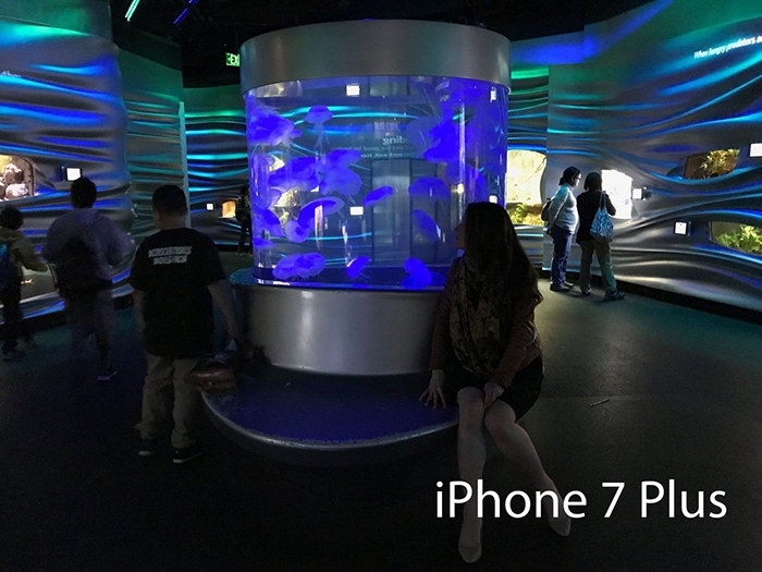 So sánh camera của Galaxy S8+ vs iPhone 7 Plus 18