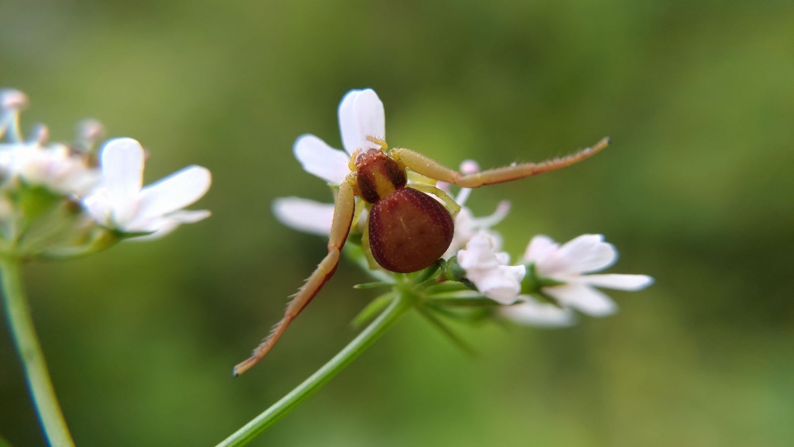 Hướng dẫn mẹo chụp và chỉnh sửa ảnh đẹp trên smartphone Hướng dẫn mẹo chụp và chỉnh sửa ảnh đẹp trên smartphone