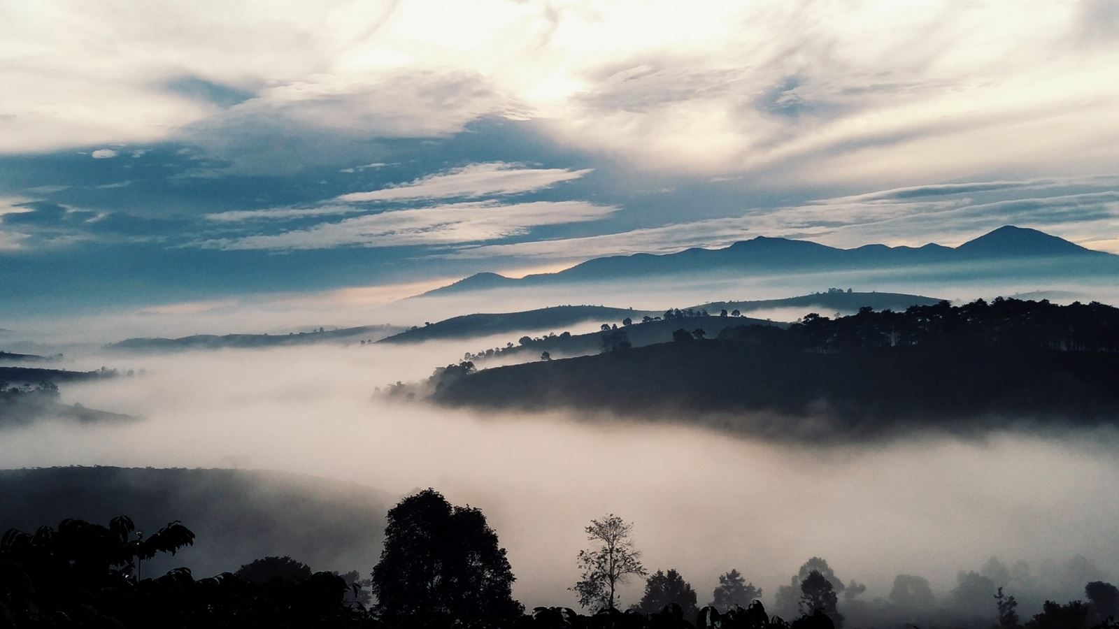 Hướng dẫn mẹo chụp và chỉnh sửa ảnh đẹp trên smartphone Hướng dẫn mẹo chụp và chỉnh sửa ảnh đẹp trên smartphone