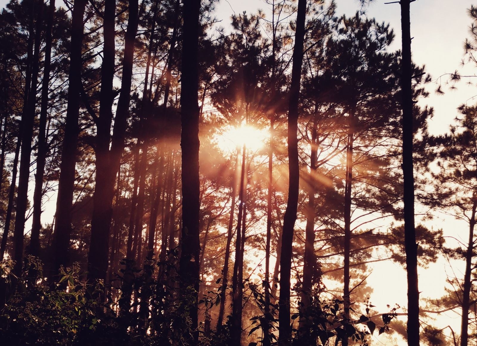 Hướng dẫn mẹo chụp và chỉnh sửa ảnh đẹp trên smartphone Hướng dẫn mẹo chụp và chỉnh sửa ảnh đẹp trên smartphone