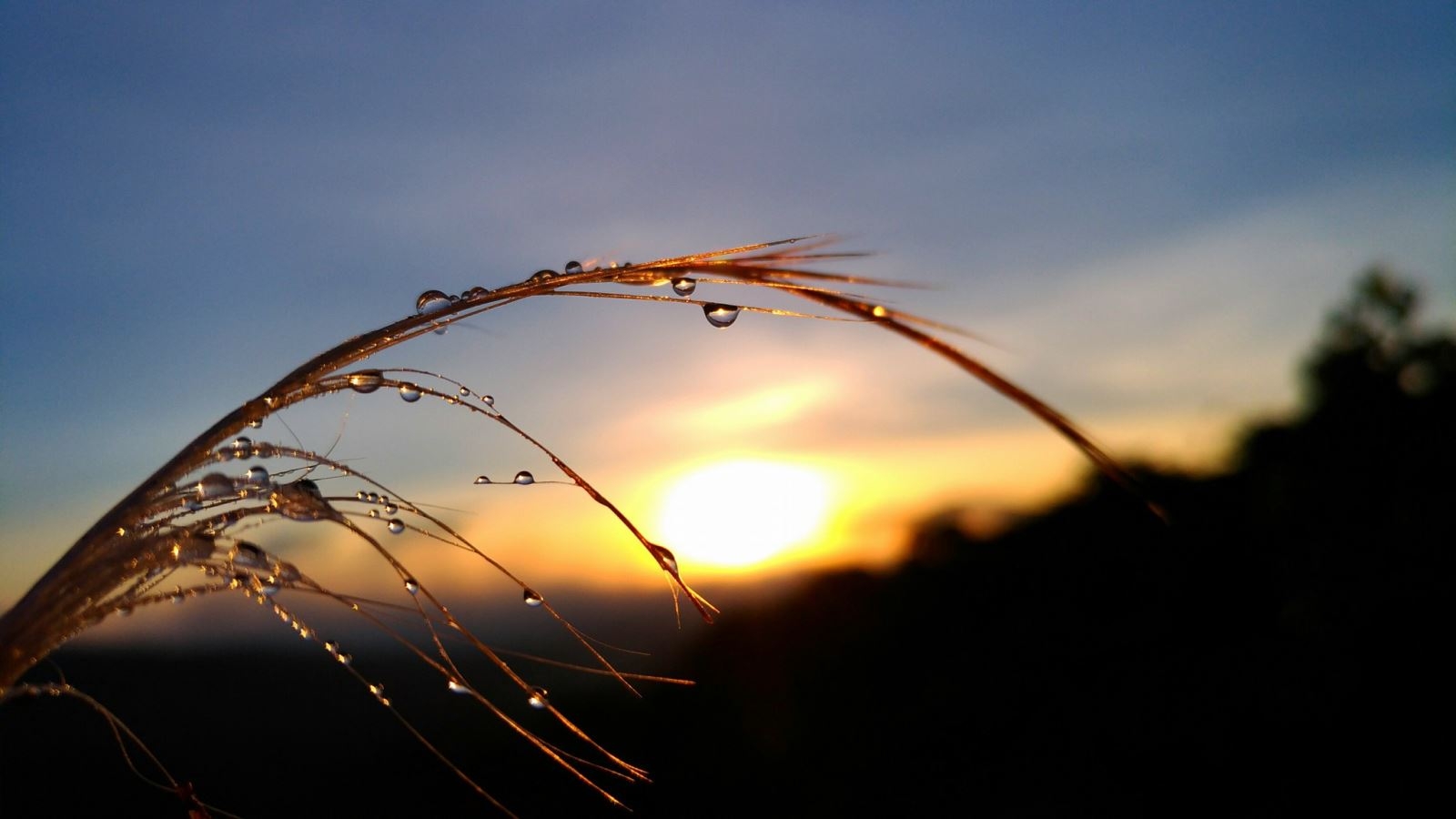 Hướng dẫn mẹo chụp và chỉnh sửa ảnh đẹp trên smartphone