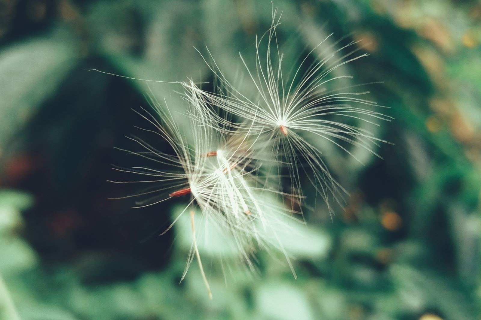 Hướng dẫn mẹo chụp và chỉnh sửa ảnh đẹp trên smartphone