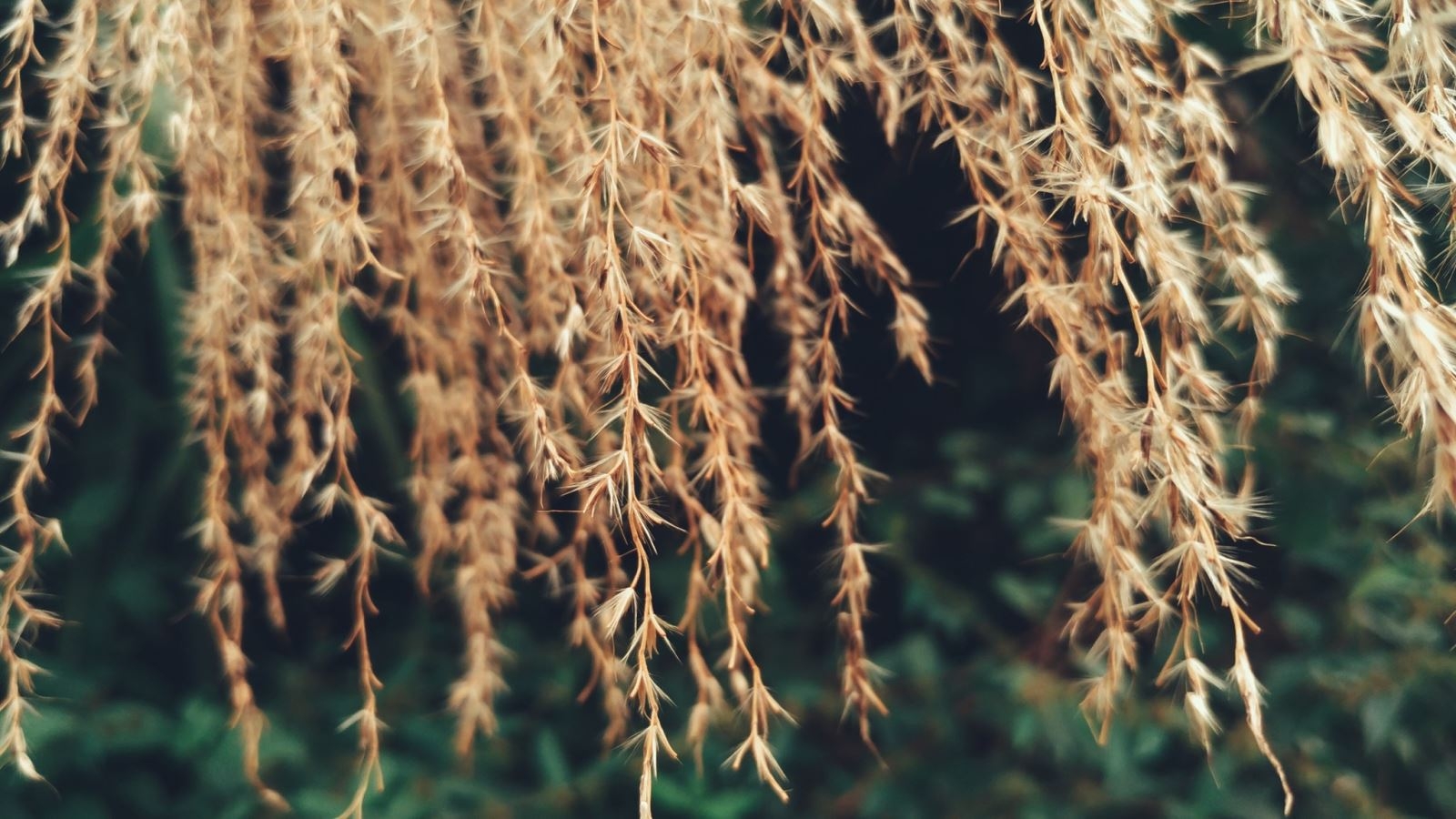 Hướng dẫn mẹo chụp và chỉnh sửa ảnh đẹp trên smartphone