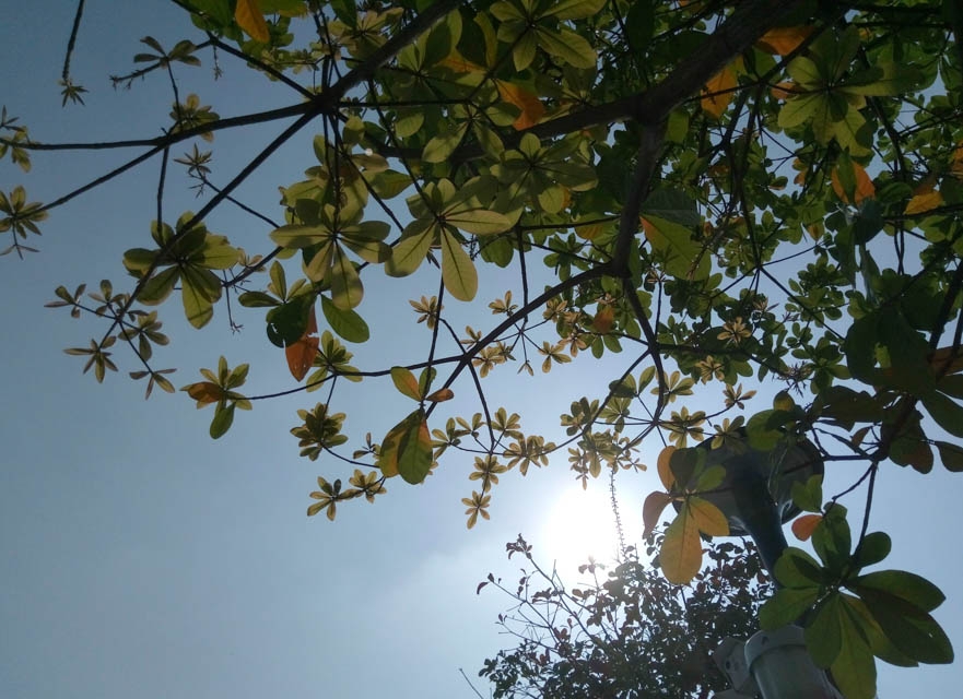 Meizu M5 Trải nghiệm nhanh camera của Meizu M5 - kẻ thống lĩnh phân khúc giá rẻ