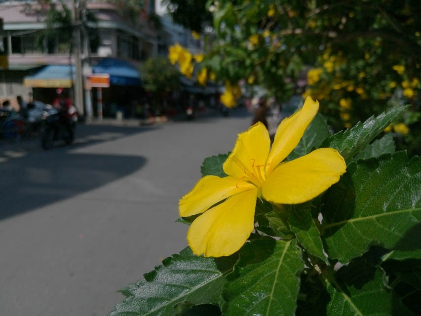 Meizu M5 Trải nghiệm nhanh camera của Meizu M5 - kẻ thống lĩnh phân khúc giá rẻ