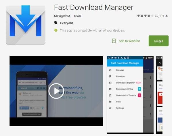 Fast Download Manager