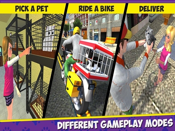 City Bike Pet Animal Transport City Bike Pet Animal Transport