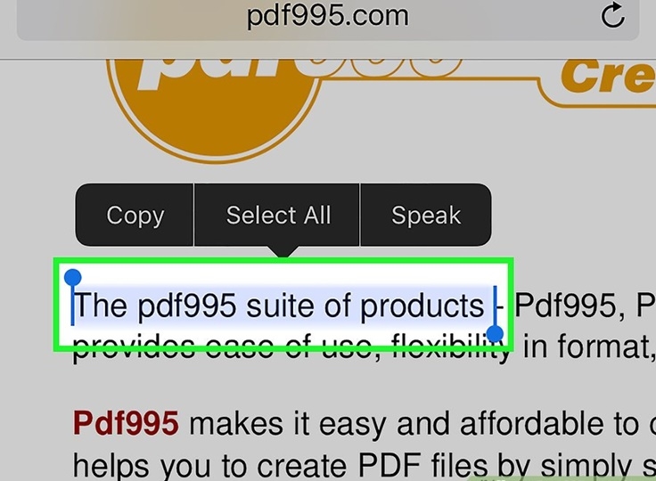 Copy text trong file PDF