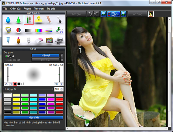 PhotoInstrument 7.4 Việt hóa