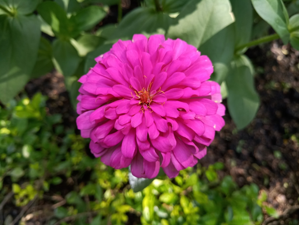 Đánh giá MEIZU Pro 7 (ảnh 9)