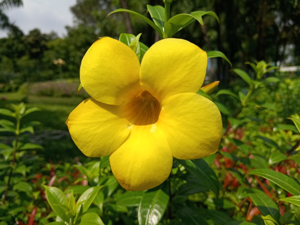 Đánh giá camera MEIZU Pro 7 (ảnh 6)