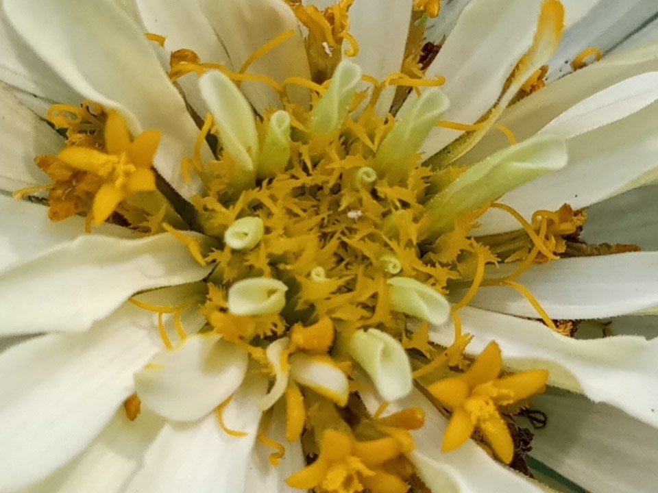 Đánh giá camera MEIZU Pro 7 (ảnh 7)