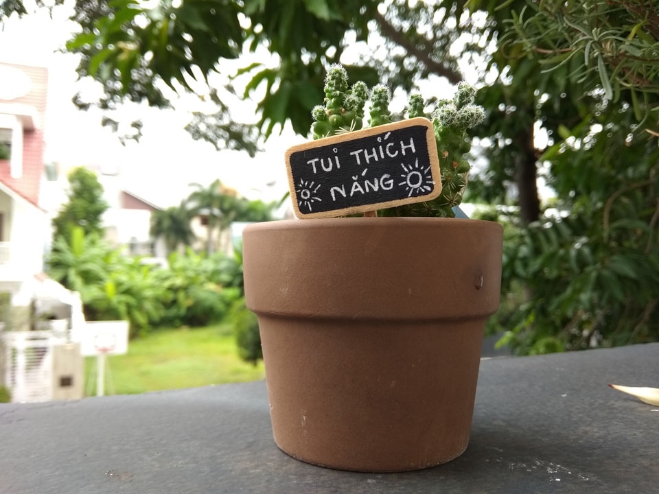 Xiaomi Redmi Note 5A Prime (ảnh 8)