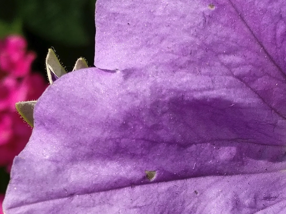 So sánh camera sau của OnePlus 3 và Samsung galaxy S7/S7 Edge So sánh camera sau của OnePlus 3 và Samsung galaxy S7/S7 Edge