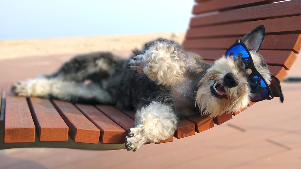 Loạt hình ảnh chụp thực tế của Xiaomi Redmi Pro Loạt hình ảnh chụp thực tế của Xiaomi Redmi Pro