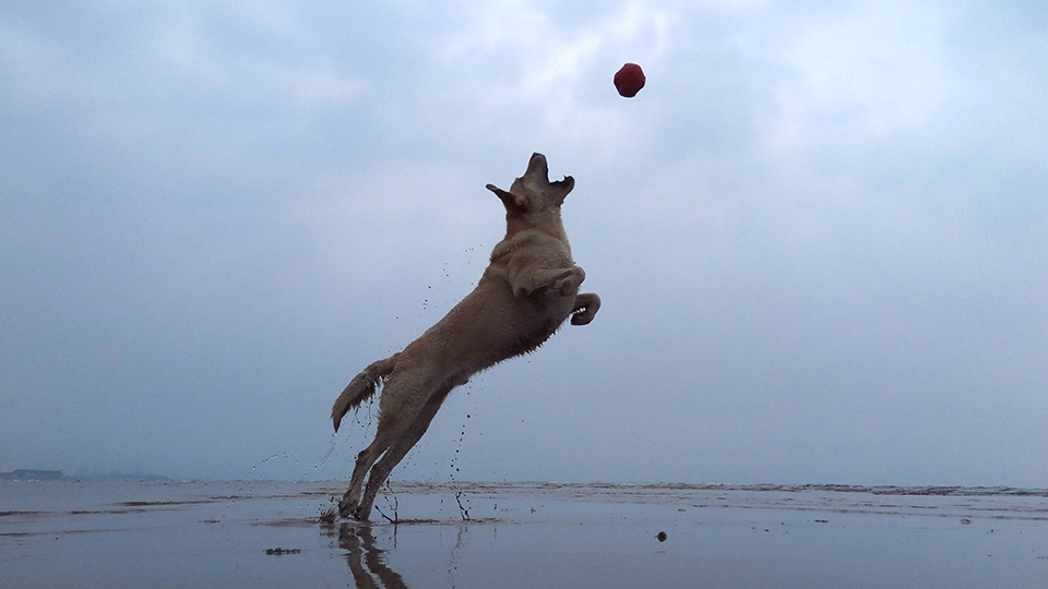 Loạt hình ảnh chụp thực tế của Xiaomi Redmi Pro Loạt hình ảnh chụp thực tế của Xiaomi Redmi Pro