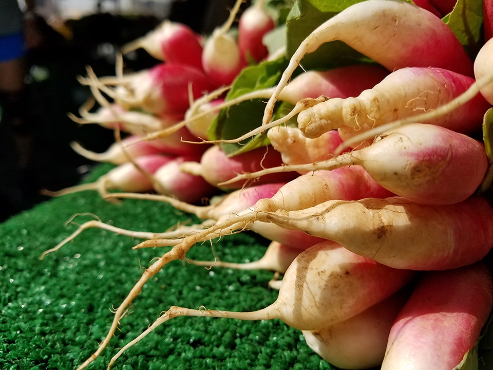 So sánh camera sau của OnePlus 3 và Samsung galaxy S7/S7 Edge So sánh camera sau của OnePlus 3 và Samsung galaxy S7/S7 Edge