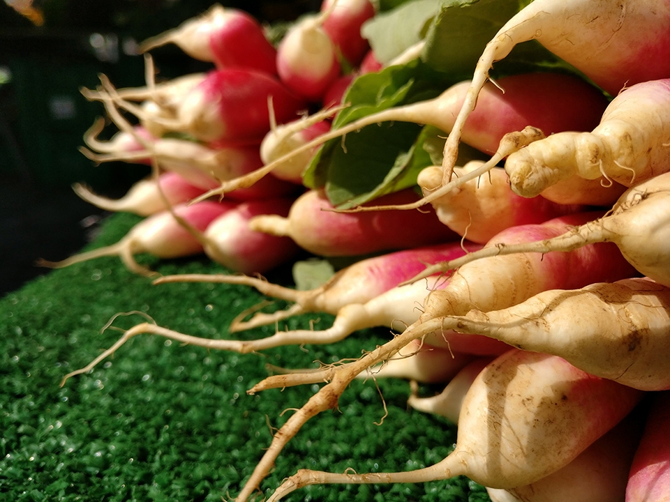 So sánh camera sau của OnePlus 3 và Samsung galaxy S7/S7 Edge So sánh camera sau của OnePlus 3 và Samsung galaxy S7/S7 Edge