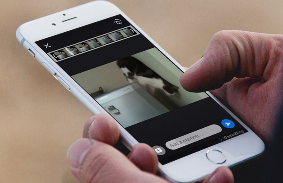 Hướng dẫn tìm kiếm và gửi ảnh GIF trong WhatsApp Hướng dẫn tìm kiếm và gửi ảnh GIF trong WhatsApp