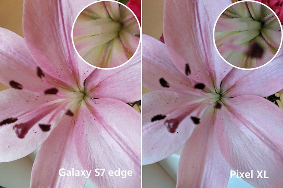 Samsung Galaxy S7 edge và Google Pixel XL