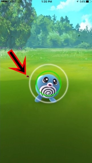 6 mẹo “nằm lòng” để bắt Pokemon hiệu quả hơn