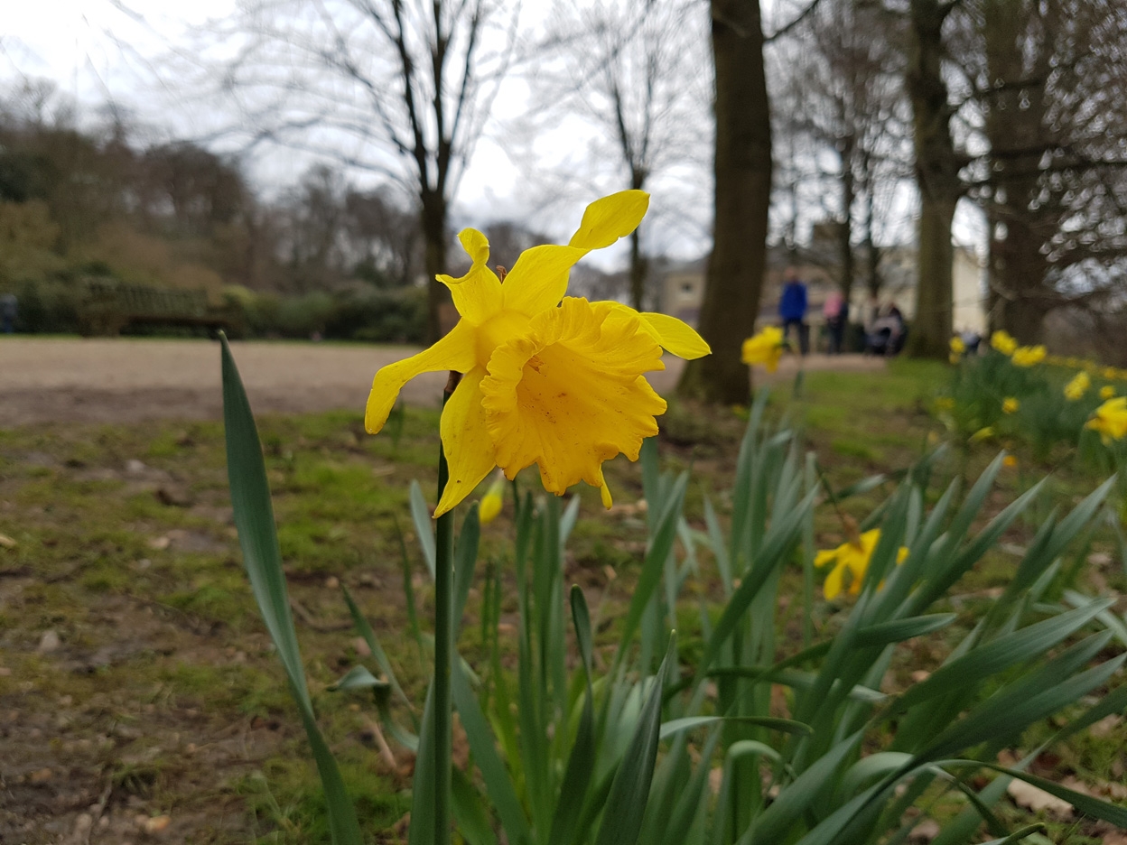 Camera Galaxy S7 so găng cùng iPhone 6s Plus và Galaxy S6