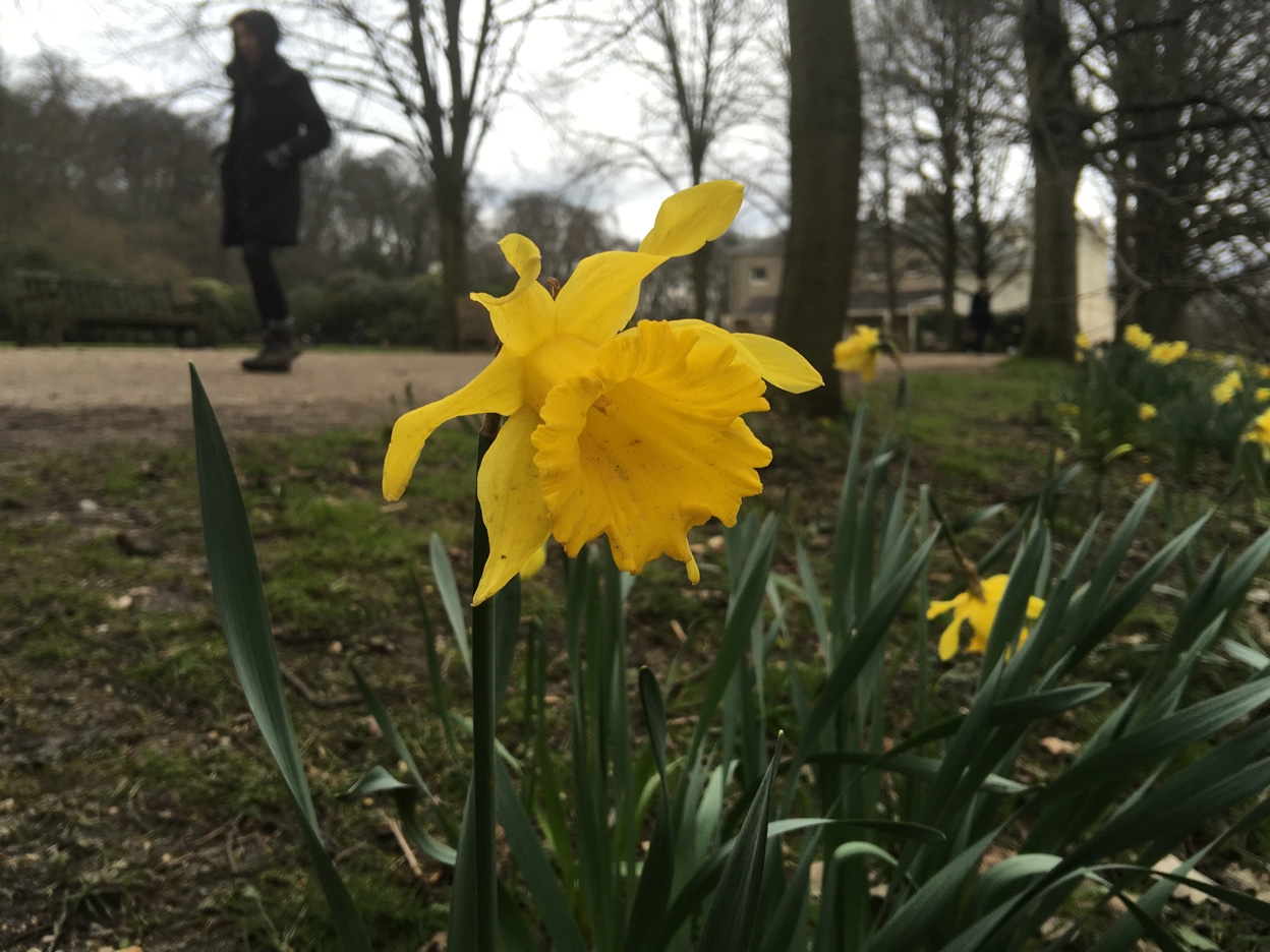 Camera Galaxy S7 so găng cùng iPhone 6s Plus và Galaxy S6