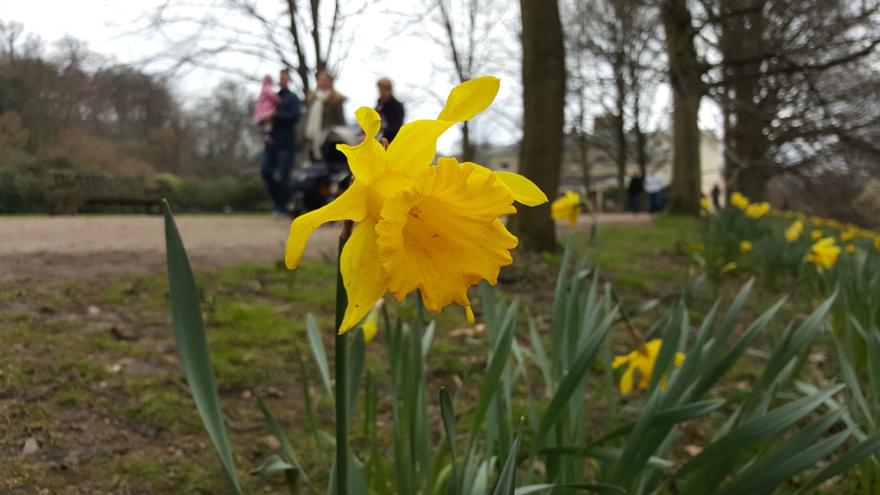Camera Galaxy S7 so găng cùng iPhone 6s Plus và Galaxy S6