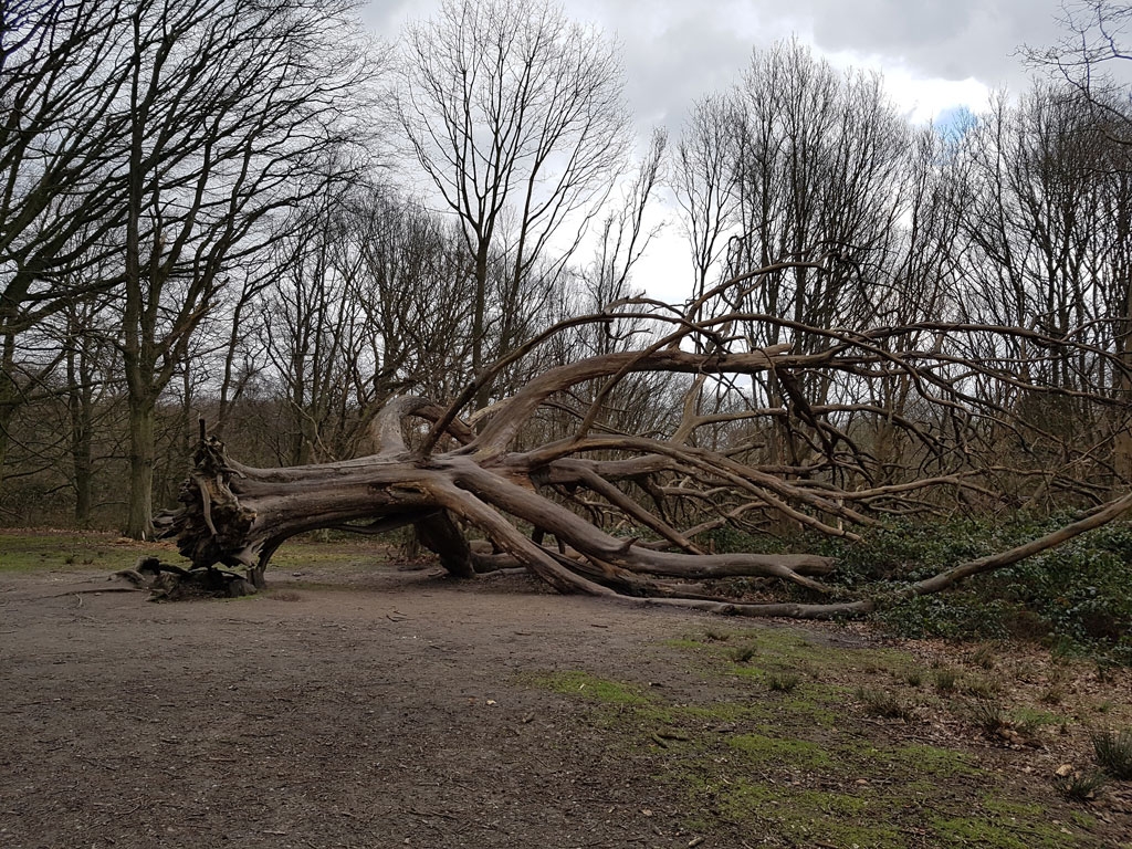 Camera Galaxy S7 so găng cùng iPhone 6s Plus và Galaxy S6
