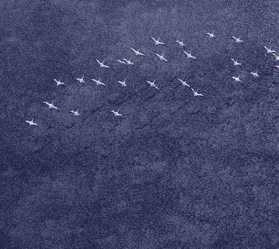 Chiêm ngưỡng trọn bộ ảnh nền của Google Nexus 2016