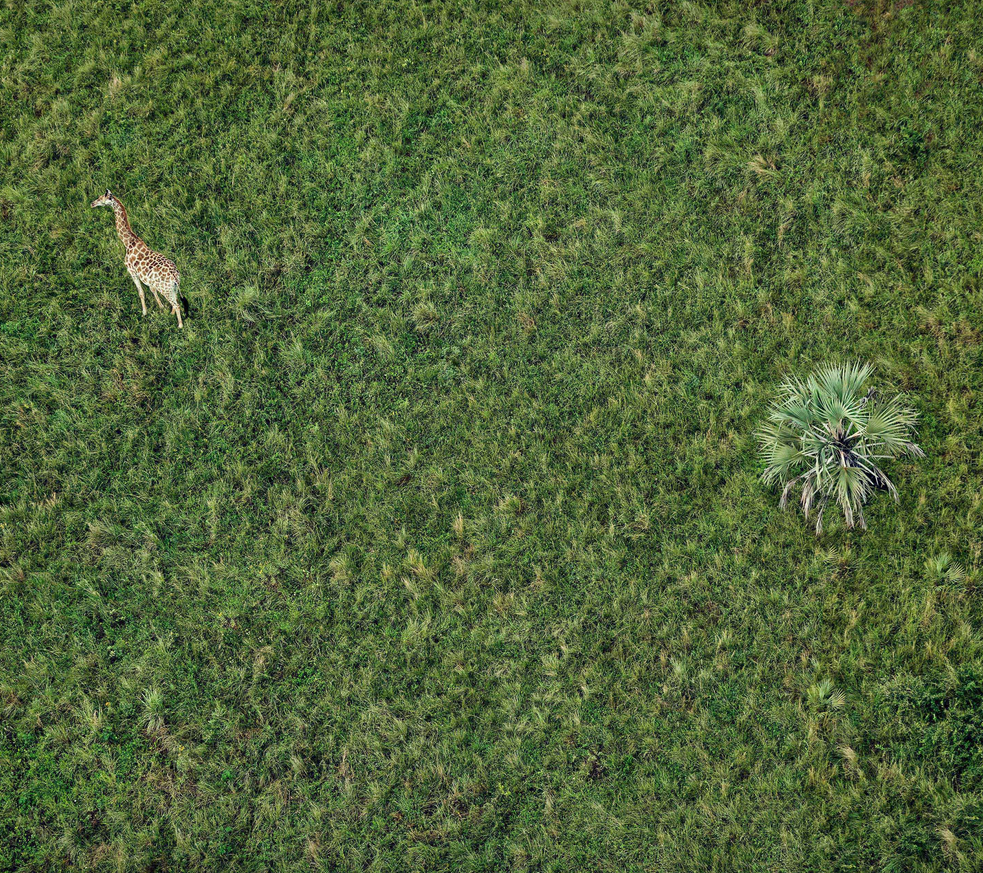 Chiêm ngưỡng trọn bộ ảnh nền của Google Nexus 2016