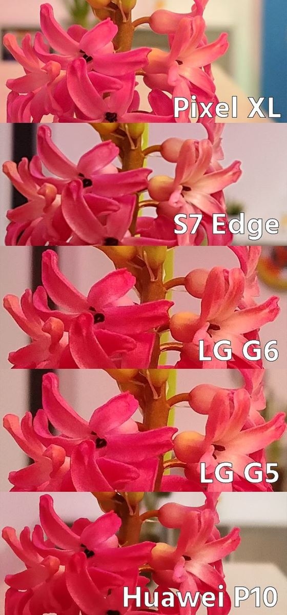 LG G6 và Huawei P10 đọ camera cùng loạt siêu phẩm Android