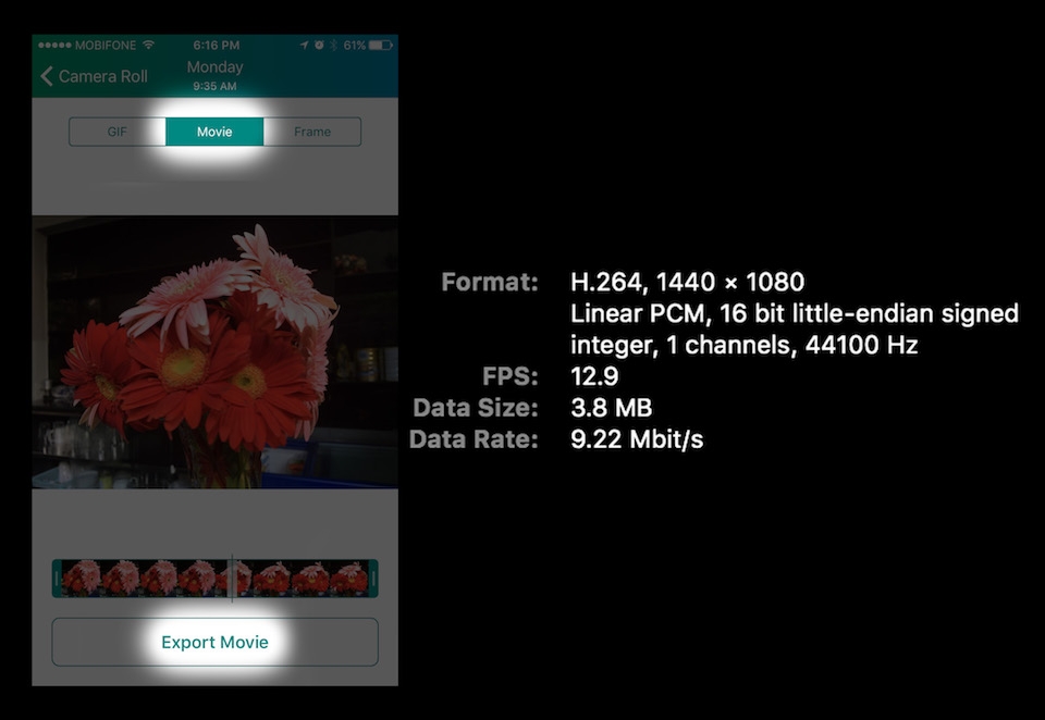 Lively: Ứng dụng chuyển đổi Live Photos thành video hoặc ảnh GIF