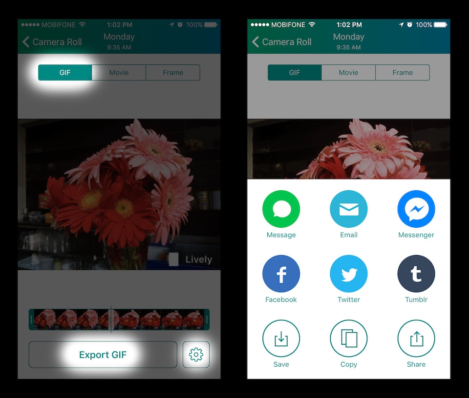 Lively: Ứng dụng chuyển đổi Live Photos thành video hoặc ảnh GIF