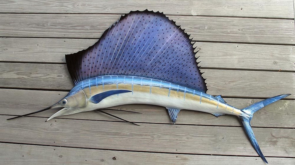 Lộ ảnh thật của Goolge Nexus Sailfish: thiết kế đẹp lạ từ kim loại và kính